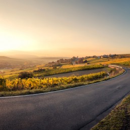 Idylle an der deutschen Weinstraße