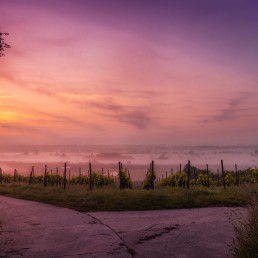 traumhafte Aussichten an der deutschen Weinstraße