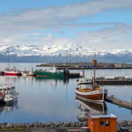 Island - Hafen in Husavik