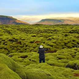 Lavafeld Eldhraun in Island