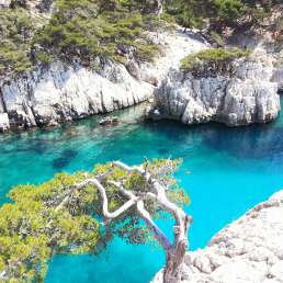 Calanques nahe Marseille