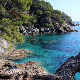 Calanques nahe Marseille