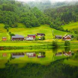 Fjordlandschaft in grün