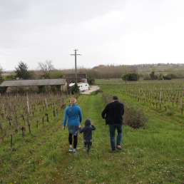 Weinhangführung mit Winzer im Bordeaux