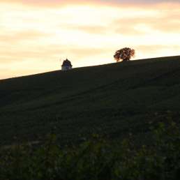 Camping direkt beim Winzer am Rhein