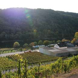 Camping am Weinhang an der Mosel