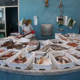 marktfrischer Fisch in Terracina