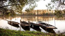 Stille Momente inmitten der Natur an der Loire