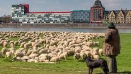 Köln mal ländlich