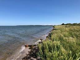 Ostseeküste auf Fyn in Dänemark