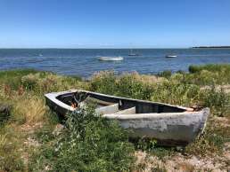 Strandgut an der Ostseeküste auf Fyn in Dänemark