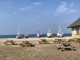 Natur-Camping Blogpost - Fliegende Boote am Thorup Strand in Dänemark