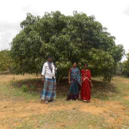 Stadt Land Camp - CO2 Kompensation - Aufforstungsprojekt Bagepalli in Indien 2