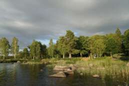 Idylle pur auf dem Natur-Campingplatz Getnö Gard im „Lake Åsnen Resort“