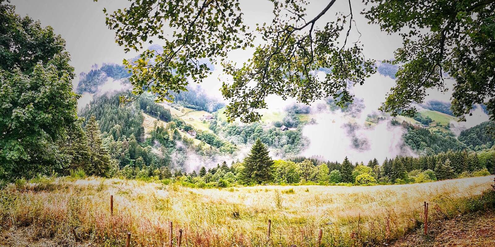 tolle Aussicht aus dem Wohnmobil - der wunderschöne Dreitälerblick Parkplatz im Breisgau