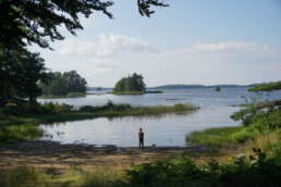 die Aussicht vom Wohnmobil auf dem Natur-Campingplatz Getnö Gard im „Lake Åsnen Resort“