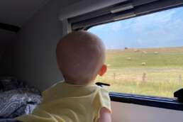 Schaaf-Watching in St. Peter-Ording