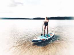 Stand-Up-Paddle - (40€/Anmietung)