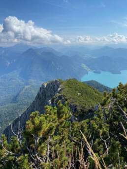 wie gemalt, der Walchensee samt alpiner Umgebung