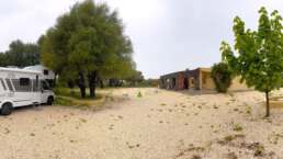 Camping auf einem Weingut zwischen Wein und Olivenbäumen - was will man mehr?