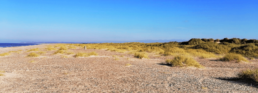 Rundumblick am weitläufigen Klim Strand in der Jammerbucht