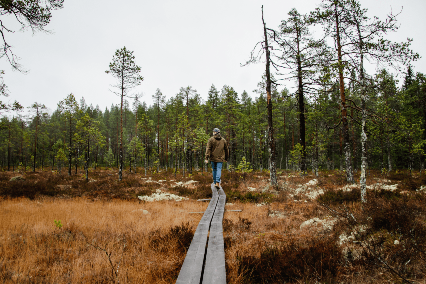 beplankte Wege im Hamra Nationalpark