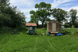 Huhn müsste man sein bei Silvis Hofladen in Borstel-Hohenraden