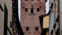Lucca: der Torre Guinigi