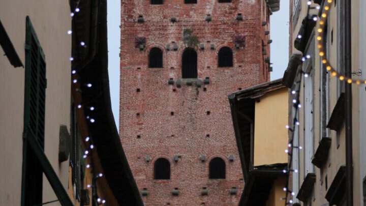 Lucca: der Torre Guinigi