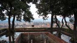 Lucca: auf dem Torre Guinigi