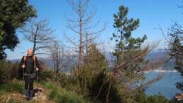 Küstenwanderung oberhalb von Portovenere