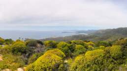 Geschafft! Der Aussichtspunkt mit traumhaftem Küstenblick ist erreicht