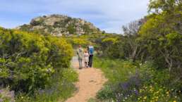 unterwegs auf dem Küstenwanderweg von der Cala Cipolla zum Aussichtspunkt mit Küstenausblick
