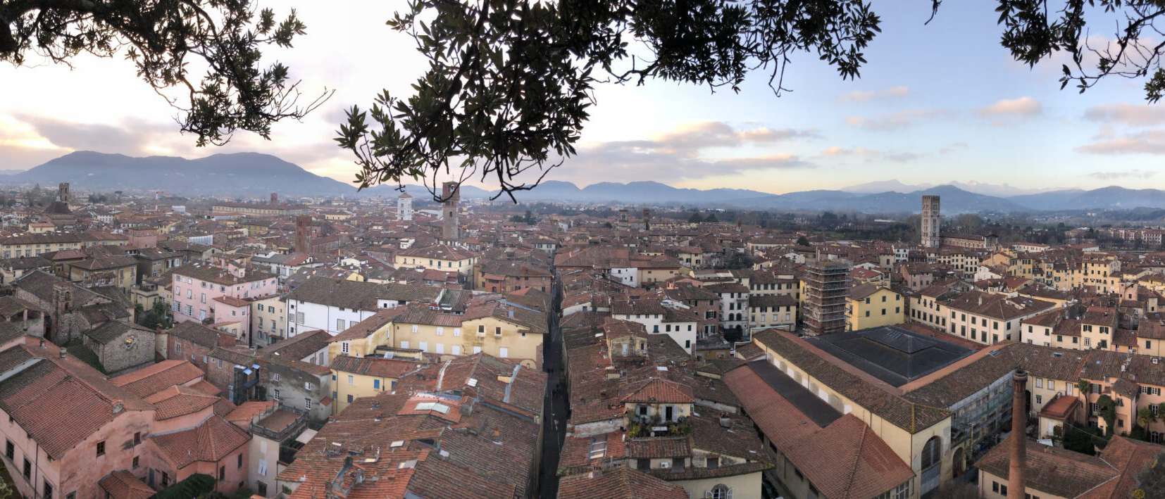 Lucca: Ausblick vom Torre Guinigi