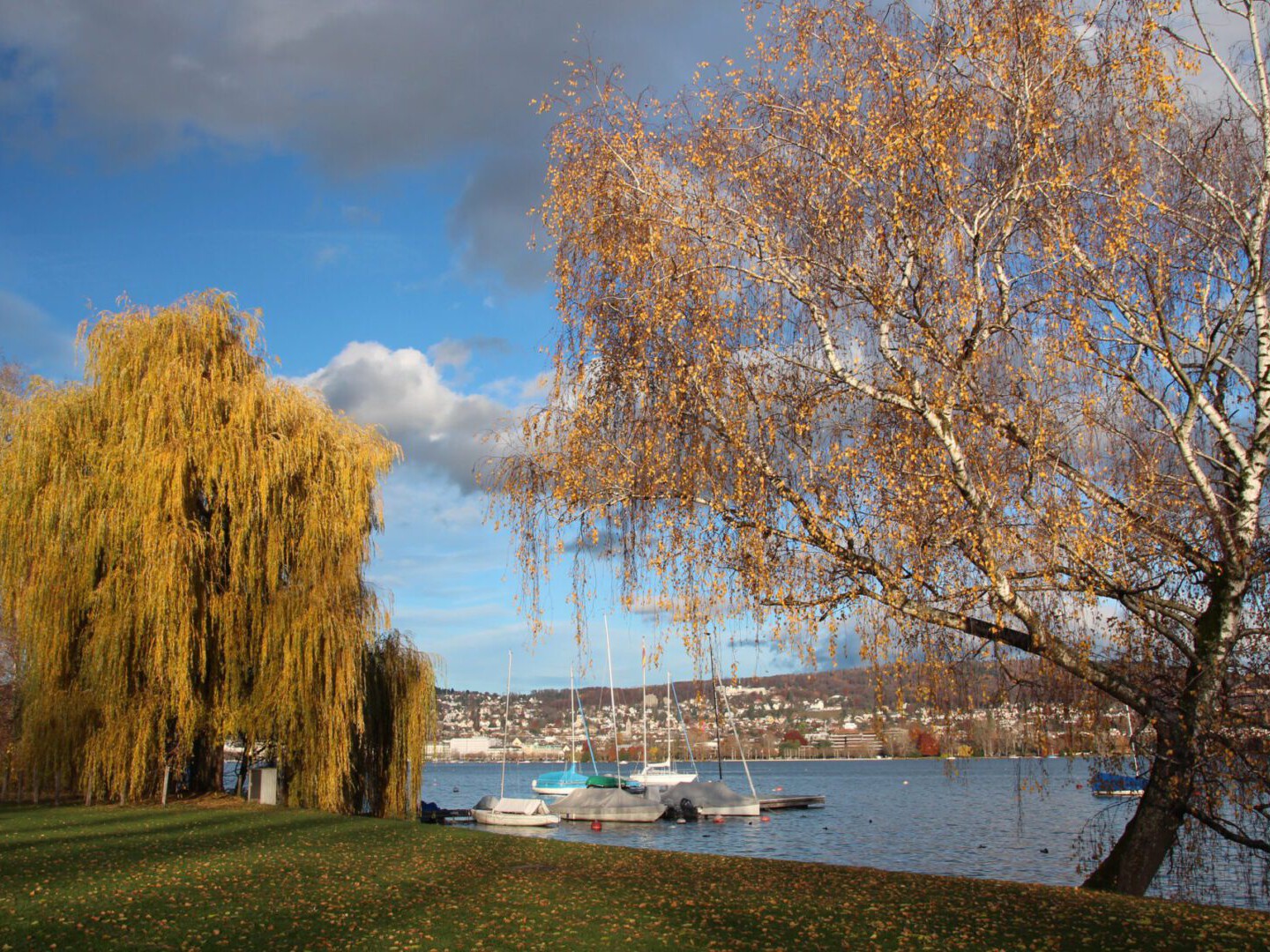 Der Zürichsee im Winter mit toller Laubfärbung