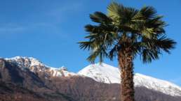 Cannobio am Lago Maggiore