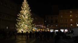 Bologna