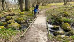 Moos, Bäume, Felsen - alles im Überfluss im Stenshuvuds Nationalpark