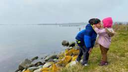 Nebel zieht auf, Zeit für eine Kuschelpause