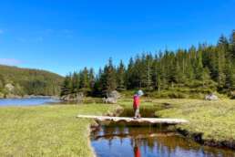 Norwegen - Natur pur - Campingtour 2023