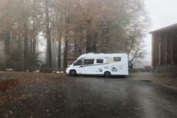 Stellplatz direkt neben den Gänsen auf dem Windmühlenhof