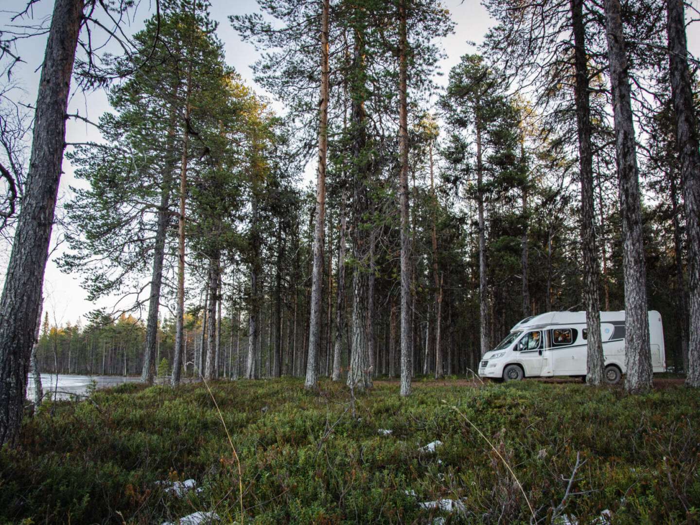 träumt davon nicht jeder Camper, der nach Schweden fährt? Stellplatz in Jokkmokk