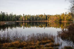 Stellplatz im Svartedalen Naturreservat (nördlich von Göteborg)