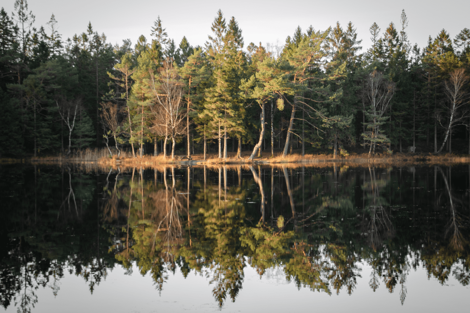 Postkartenmotive im Svartedalen Naturreservat - Schweden pur