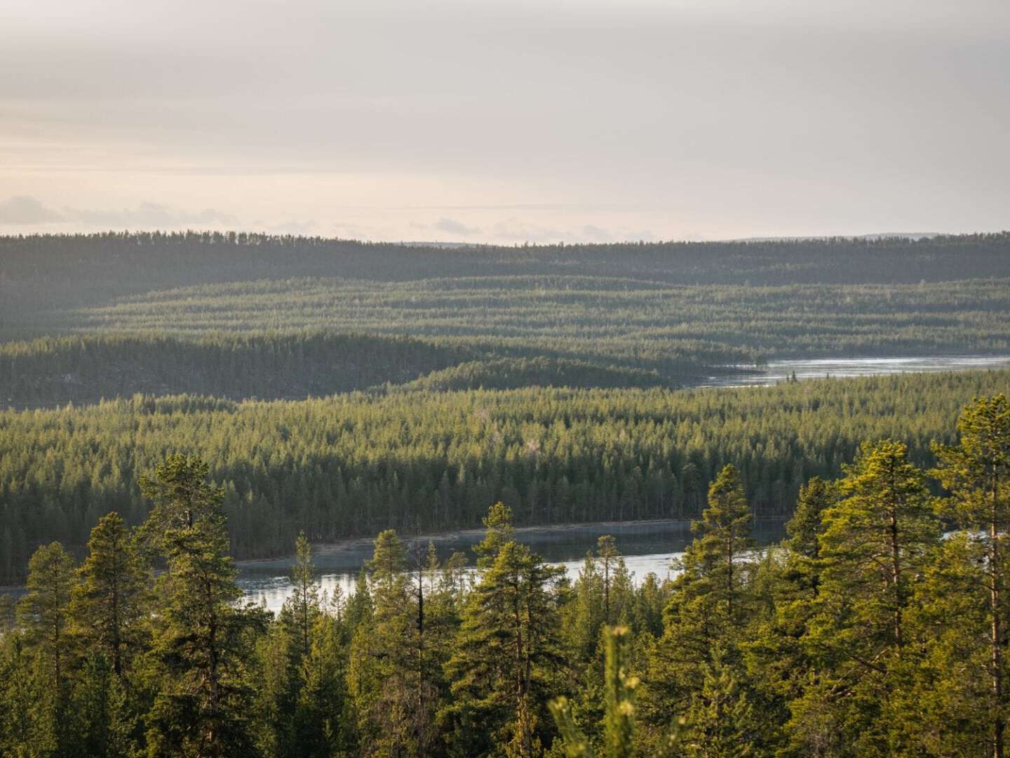 eine Wanderung in Jokkmokk belohnt mit traumhaften Fernsichten