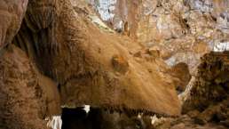 Wer erkennt hier mehr als Stein und Kalkablagerungen?