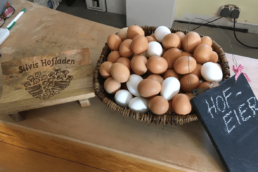 eine der top Spezialitäten - leckere frische BIO Eier von den eigenen Hühnern bei Silvis Hofladen in Borstel-Hohenraden