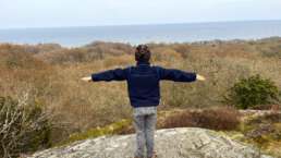 erwanderte Aussicht im Stenshuvuds Nationalpark