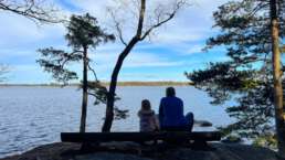 und immer wieder diese Aussichten