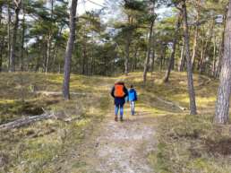 unterwegs im Backåkra Naturreservat